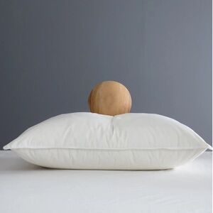 QUINCE Premium Down Pillow Firm Standard 5393